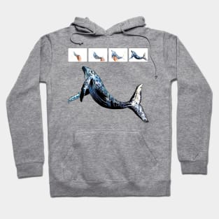 whale Hoodie